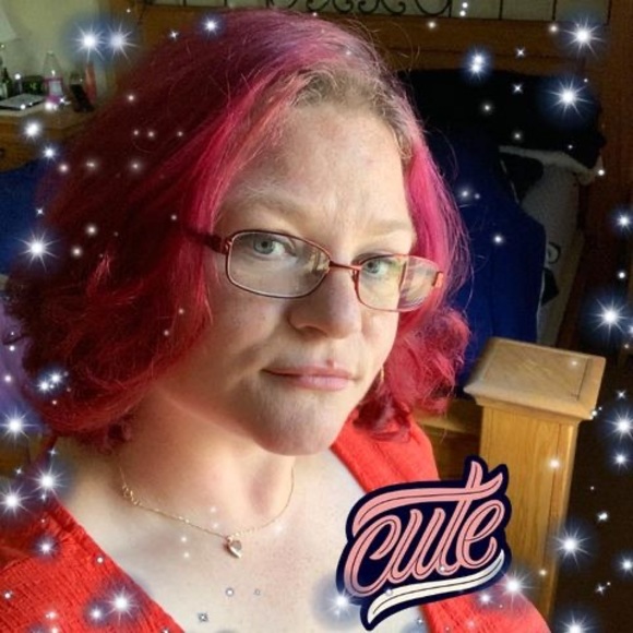 Meet your Posher, Cat - Picture 1 of 1